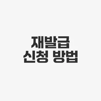 법인 자동차등록증 재발급