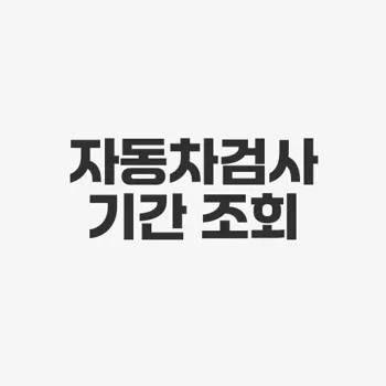 자동차 검사 조회