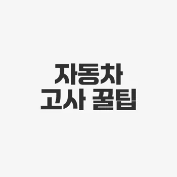 자동차 고사지내는법