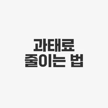 자동차 과태료 조회