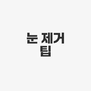 자동차 눈제거
