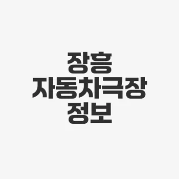 장흥 자동차극장